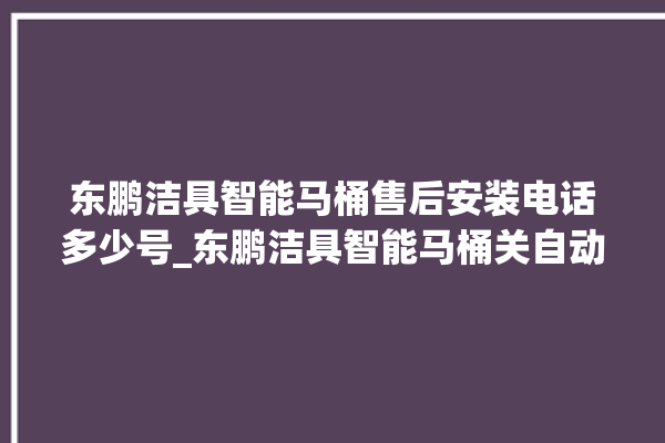 东鹏洁具智能马桶售后安装电话多少号_东鹏洁具智能马桶关自动感应 。马桶