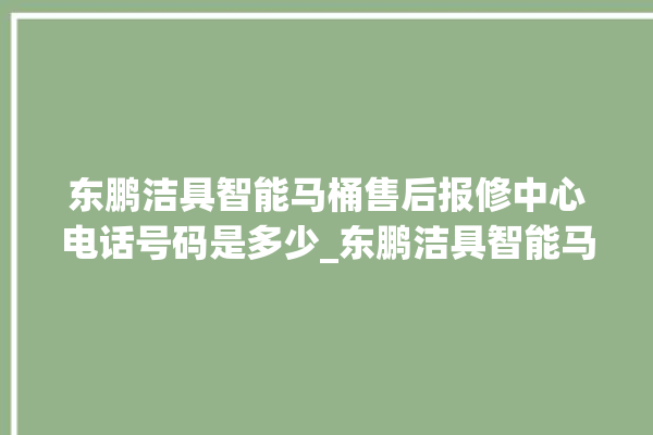 东鹏洁具智能马桶售后报修中心电话号码是多少_东鹏洁具智能马桶怎么用 。马桶