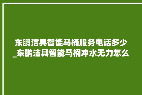 东鹏洁具智能马桶服务电话多少_东鹏洁具智能马桶冲水无力怎么解决 。马桶