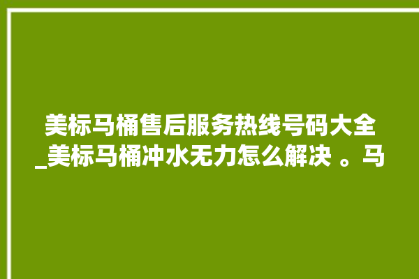 美标马桶售后服务热线号码大全_美标马桶冲水无力怎么解决 。马桶