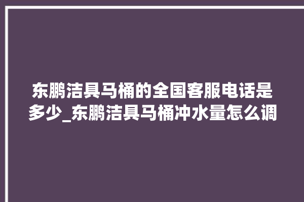 东鹏洁具马桶的全国客服电话是多少_东鹏洁具马桶冲水量怎么调节 。马桶