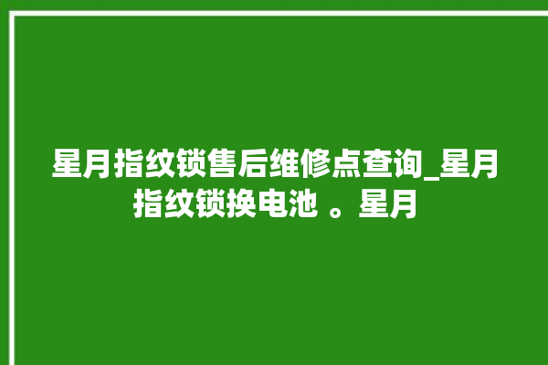 星月指纹锁售后维修点查询_星月指纹锁换电池 。星月