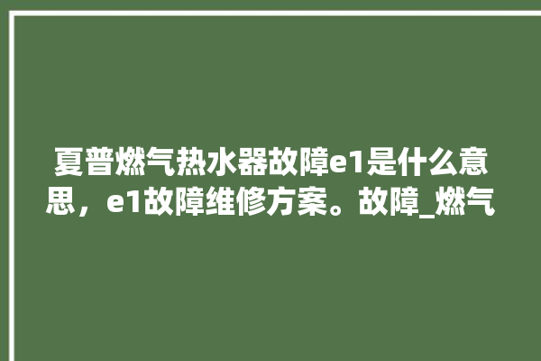 夏普燃气热水器故障e1是什么意思，e1故障维修方案。故障_燃气热水器