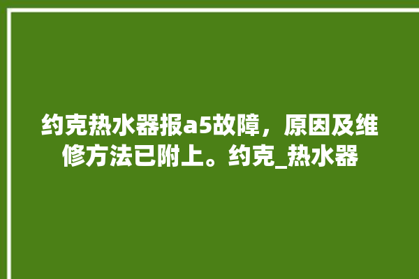 约克热水器报a5故障，原因及维修方法已附上。约克_热水器