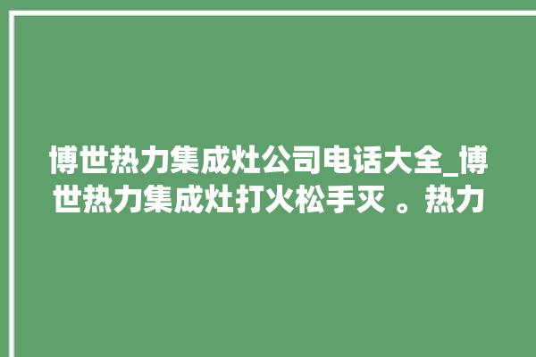 博世热力集成灶公司电话大全_博世热力集成灶打火松手灭 。热力