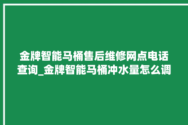 金牌智能马桶售后维修网点电话查询_金牌智能马桶冲水量怎么调节 。马桶