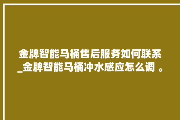 金牌智能马桶售后服务如何联系_金牌智能马桶冲水感应怎么调 。马桶