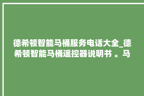 德希顿智能马桶服务电话大全_德希顿智能马桶遥控器说明书 。马桶