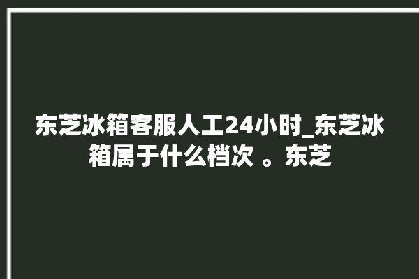 东芝冰箱客服人工24小时_东芝冰箱属于什么档次 。东芝