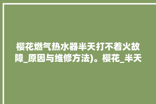 樱花燃气热水器半天打不着火故障_原因与维修方法)。樱花_半天