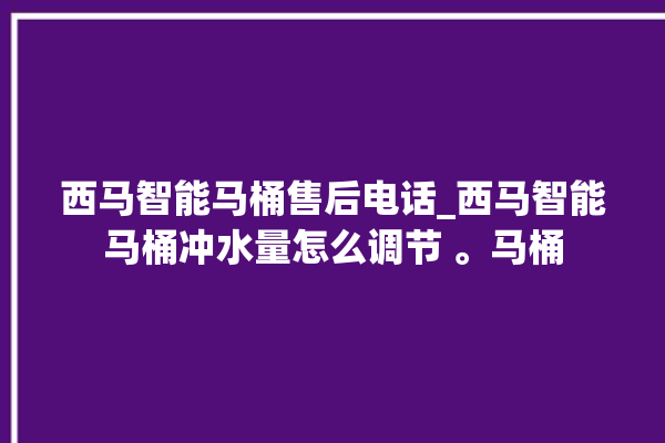 西马智能马桶售后电话_西马智能马桶冲水量怎么调节 。马桶