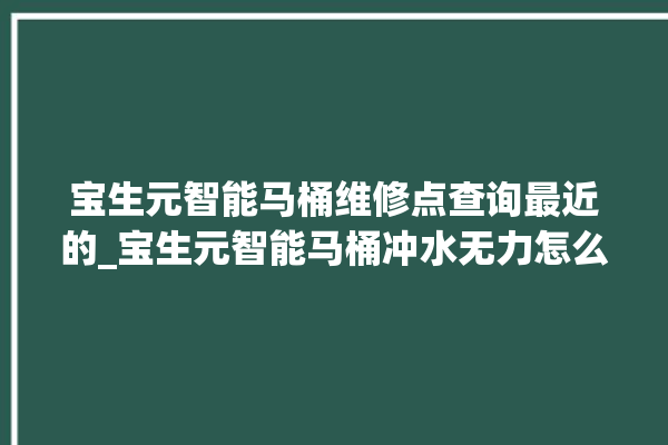 宝生元智能马桶维修点查询最近的_宝生元智能马桶冲水无力怎么解决 。马桶