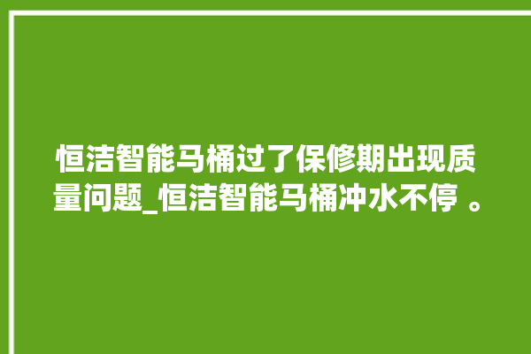 恒洁智能马桶过了保修期出现质量问题_恒洁智能马桶冲水不停 。马桶