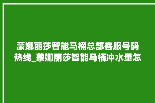 蒙娜丽莎智能马桶总部客服号码热线_蒙娜丽莎智能马桶冲水量怎么调节 。蒙娜丽莎