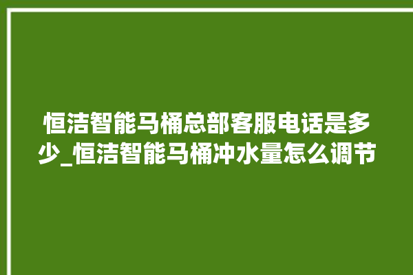 恒洁智能马桶总部客服电话是多少_恒洁智能马桶冲水量怎么调节 。马桶