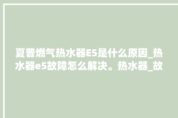 夏普燃气热水器E5是什么原因_热水器e5故障怎么解决。热水器_故障