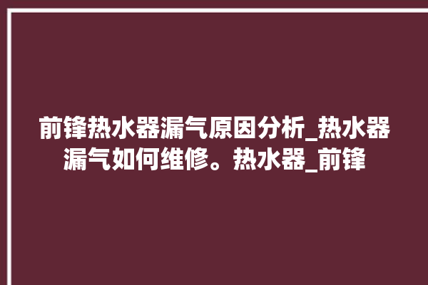 前锋热水器漏气原因分析_热水器漏气如何维修。热水器_前锋