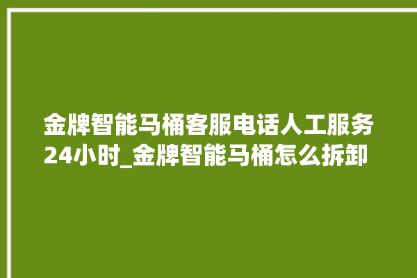 金牌智能马桶客服电话人工服务24小时_金牌智能马桶怎么拆卸 。马桶