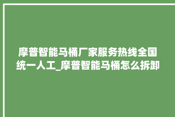 摩普智能马桶厂家服务热线全国统一人工_摩普智能马桶怎么拆卸 。马桶