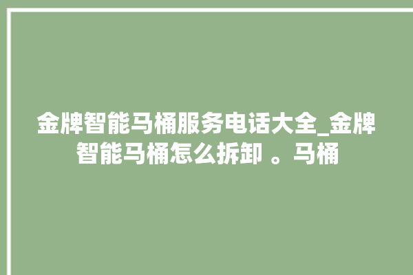 金牌智能马桶服务电话大全_金牌智能马桶怎么拆卸 。马桶