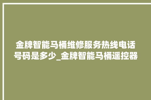 金牌智能马桶维修服务热线电话号码是多少_金牌智能马桶遥控器说明书 。马桶