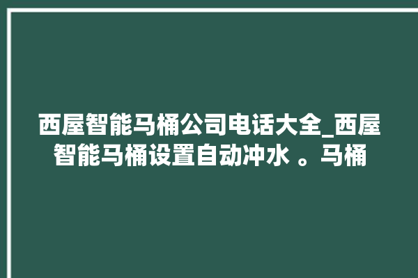 西屋智能马桶公司电话大全_西屋智能马桶设置自动冲水 。马桶