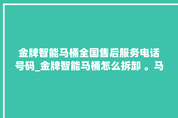 金牌智能马桶全国售后服务电话号码_金牌智能马桶怎么拆卸 。马桶