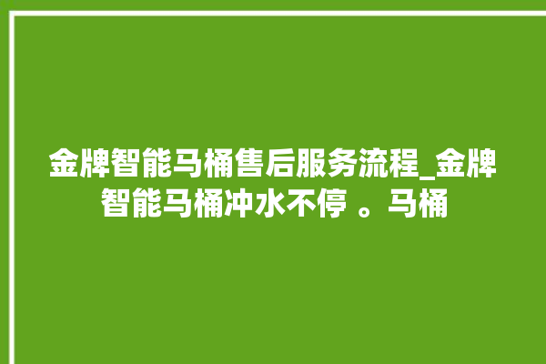 金牌智能马桶售后服务流程_金牌智能马桶冲水不停 。马桶