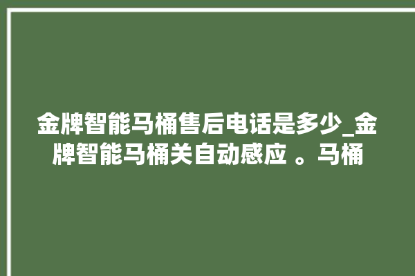 金牌智能马桶售后电话是多少_金牌智能马桶关自动感应 。马桶