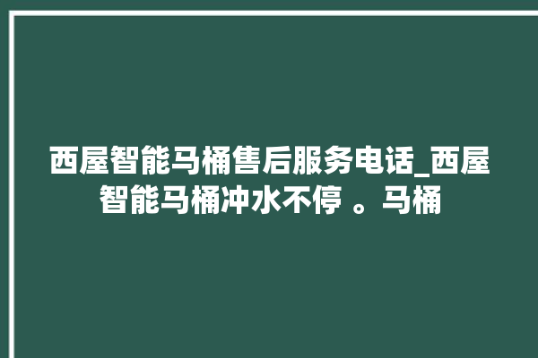 西屋智能马桶售后服务电话_西屋智能马桶冲水不停 。马桶