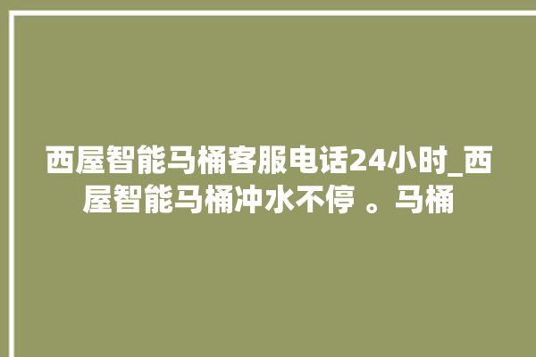 西屋智能马桶客服电话24小时_西屋智能马桶冲水不停 。马桶