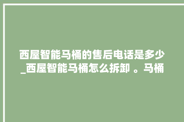 西屋智能马桶的售后电话是多少_西屋智能马桶怎么拆卸 。马桶