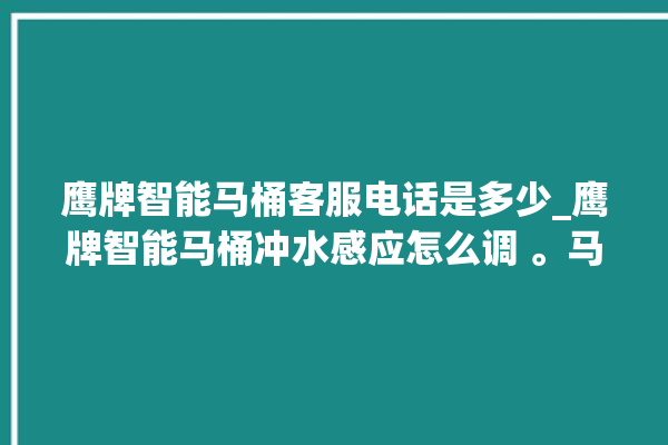 鹰牌智能马桶客服电话是多少_鹰牌智能马桶冲水感应怎么调 。马桶