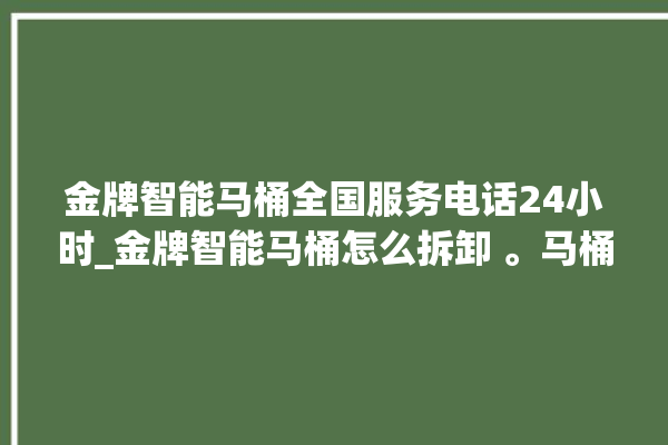 金牌智能马桶全国服务电话24小时_金牌智能马桶怎么拆卸 。马桶