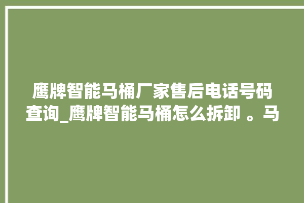 鹰牌智能马桶厂家售后电话号码查询_鹰牌智能马桶怎么拆卸 。马桶