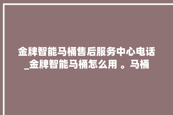 金牌智能马桶售后服务中心电话_金牌智能马桶怎么用 。马桶