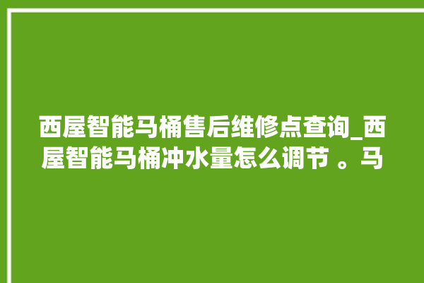 西屋智能马桶售后维修点查询_西屋智能马桶冲水量怎么调节 。马桶