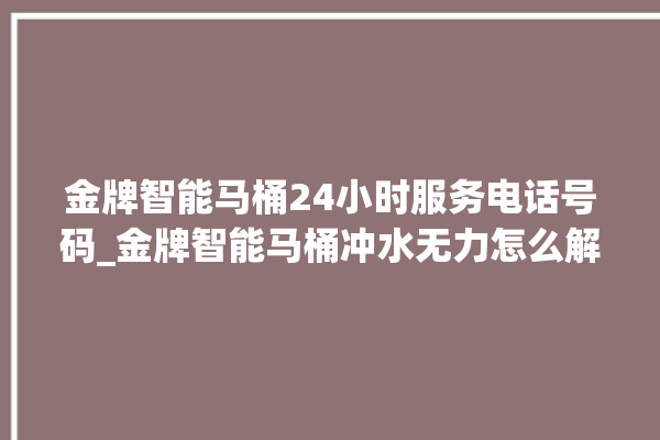 金牌智能马桶24小时服务电话号码_金牌智能马桶冲水无力怎么解决 。马桶