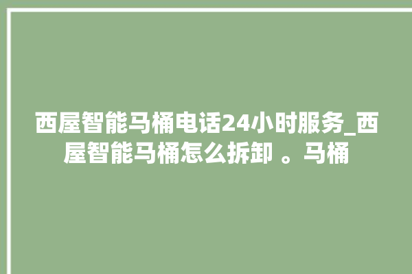 西屋智能马桶电话24小时服务_西屋智能马桶怎么拆卸 。马桶