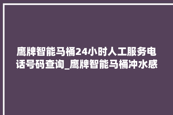 鹰牌智能马桶24小时人工服务电话号码查询_鹰牌智能马桶冲水感应怎么调 。马桶