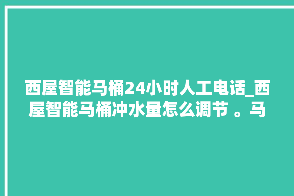 西屋智能马桶24小时人工电话_西屋智能马桶冲水量怎么调节 。马桶