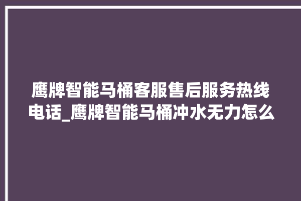 鹰牌智能马桶客服售后服务热线电话_鹰牌智能马桶冲水无力怎么解决 。马桶