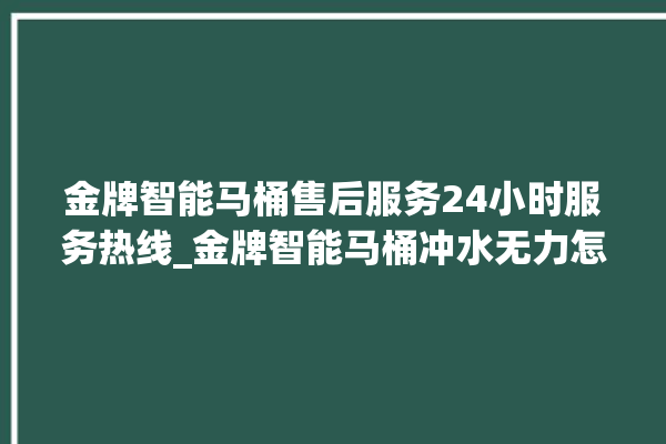 金牌智能马桶售后服务24小时服务热线_金牌智能马桶冲水无力怎么解决 。马桶