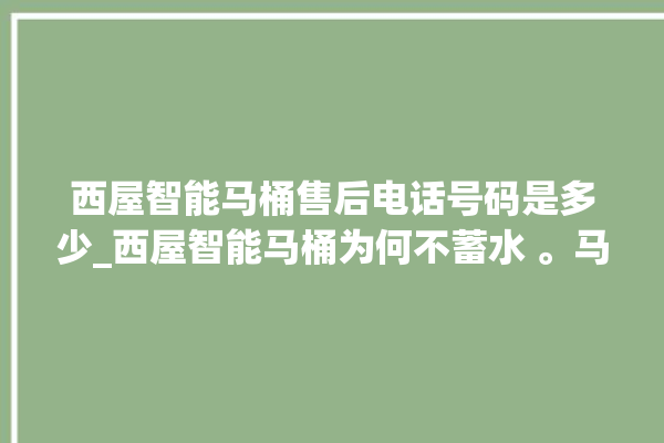 西屋智能马桶售后电话号码是多少_西屋智能马桶为何不蓄水 。马桶