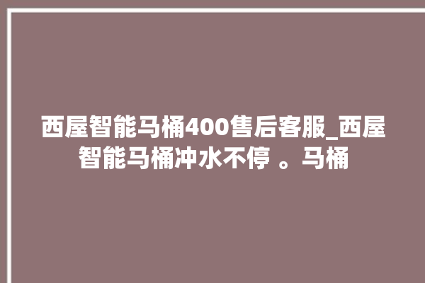 西屋智能马桶400售后客服_西屋智能马桶冲水不停 。马桶