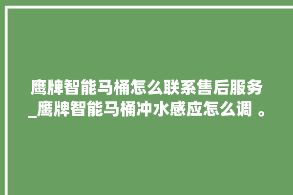 鹰牌智能马桶怎么联系售后服务_鹰牌智能马桶冲水感应怎么调 。马桶