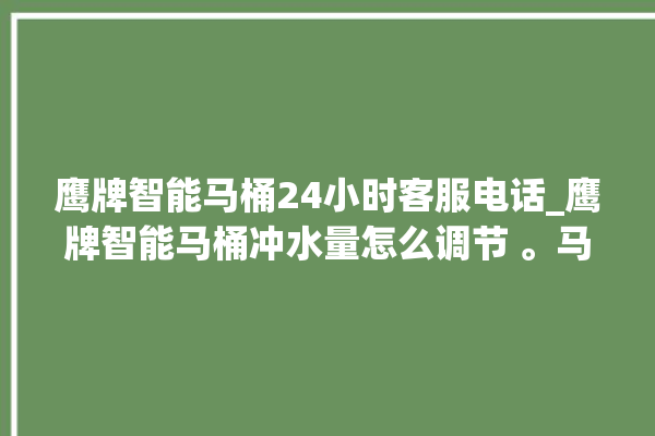 鹰牌智能马桶24小时客服电话_鹰牌智能马桶冲水量怎么调节 。马桶