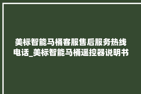 美标智能马桶客服售后服务热线电话_美标智能马桶遥控器说明书 。马桶