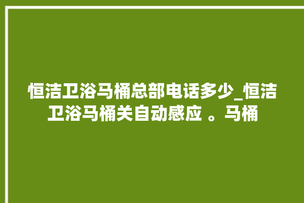 恒洁卫浴马桶总部电话多少_恒洁卫浴马桶关自动感应 。马桶