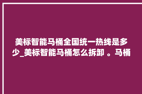 美标智能马桶全国统一热线是多少_美标智能马桶怎么拆卸 。马桶